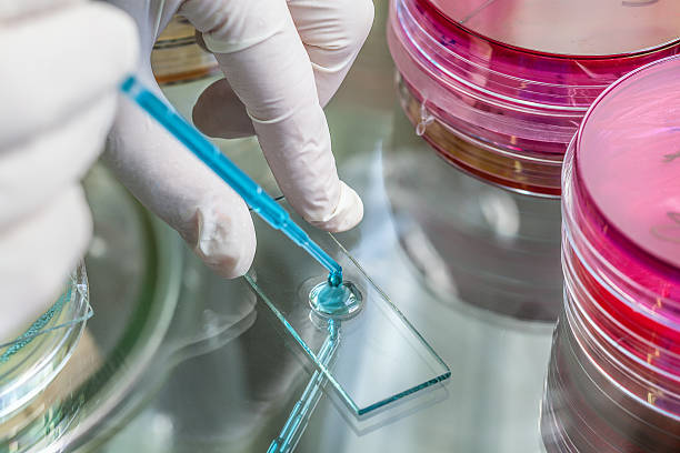 How Legionella Testing Fits Into Jersey City Condominium Amenity Spaces